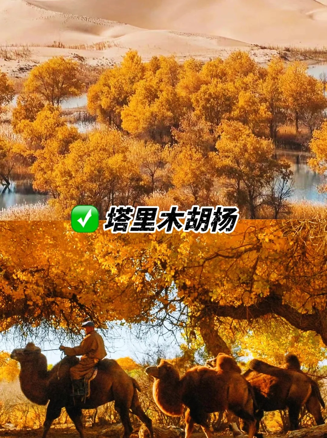 📍南疆必打卡景点✅_7_静心禅语_来自tour520旅游攻略